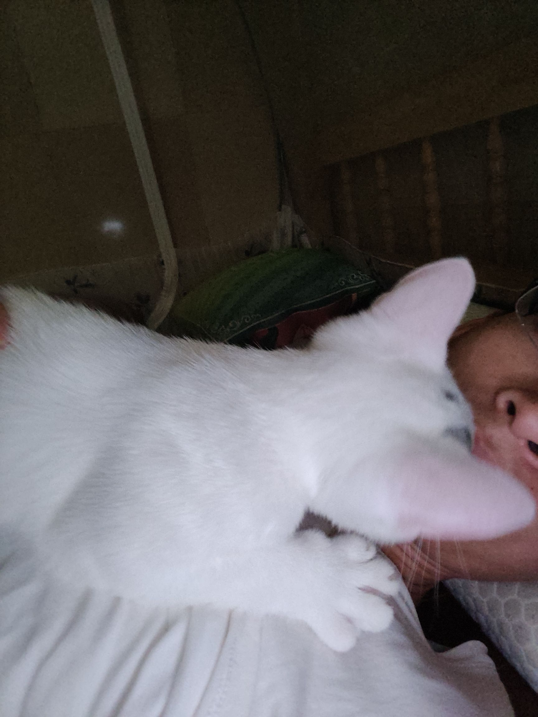 IMG20220618131828.jpg
